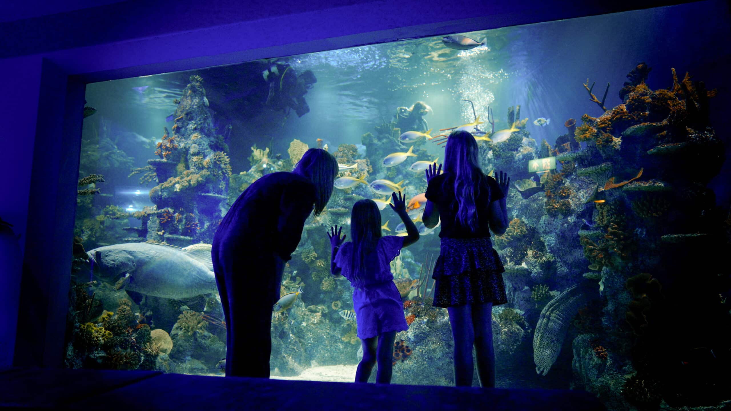 Bristol Aquarium – perfect for a rainy day in Bristol